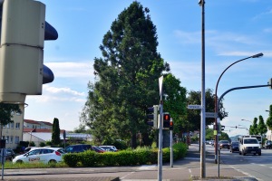 Bild nicht geladen