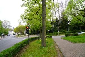 Bild nicht geladen